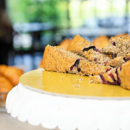 The Gate - Firenze Nord Hotel 4*